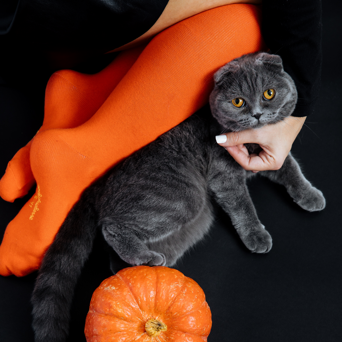 De Ville Orange citrouille - Made in France - 6
