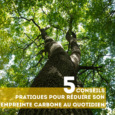 5 Conseils pratiques pour réduire son empreinte carbone au quotidien