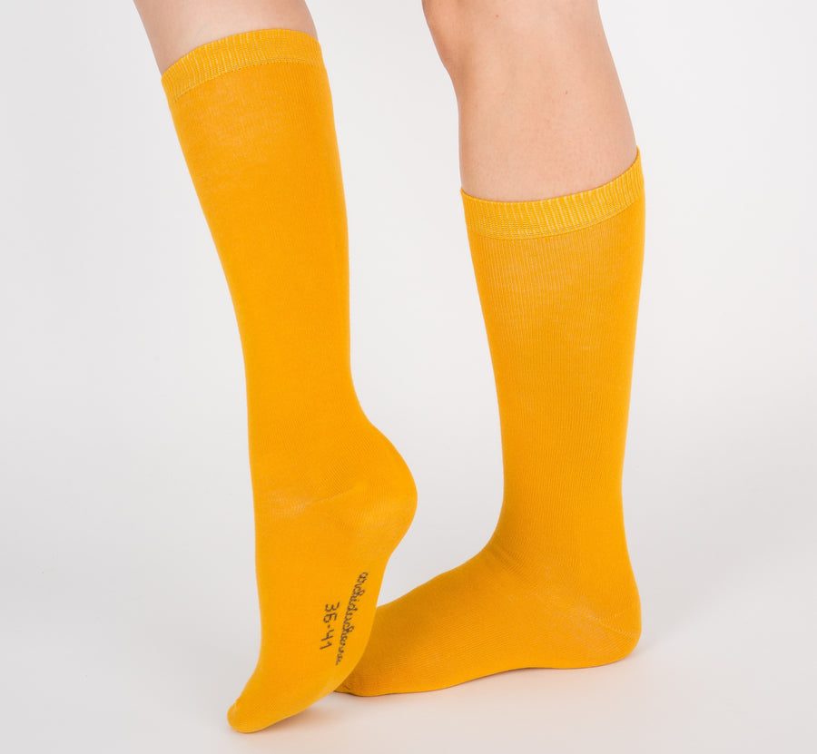 Trio - Classique Coloré